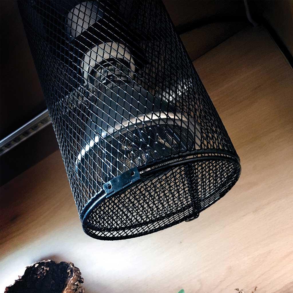 deep heat projector arcadia