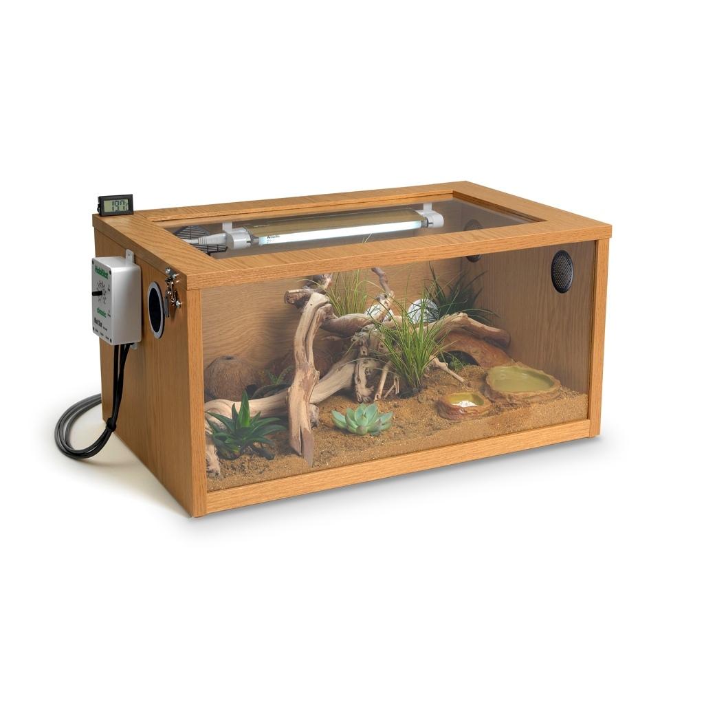 Leopard gecko bioactive kit new arrivals