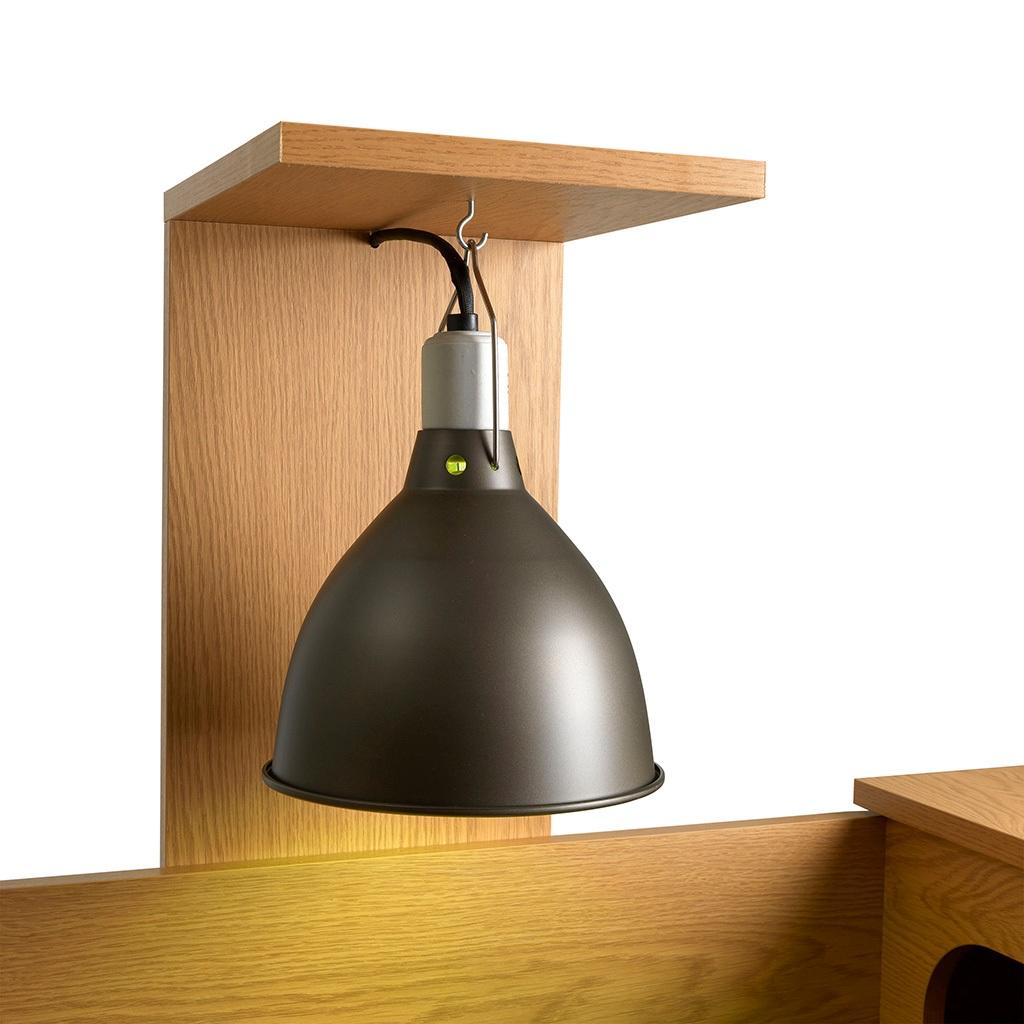 tortoise table lights