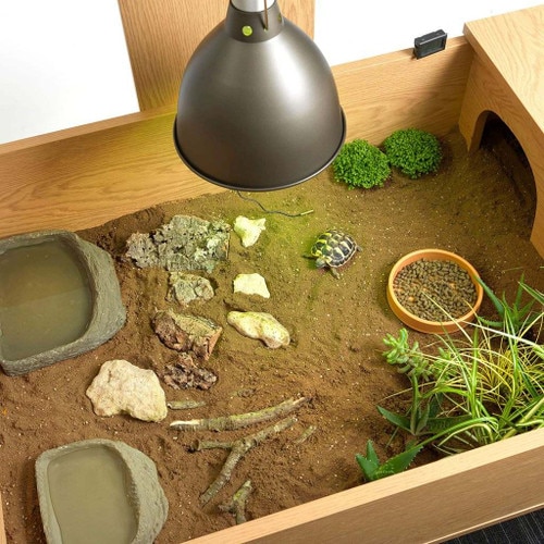 Tortoise Shell Rabbit Kits HabiStat Tortoise Starter Kit | Monkfield Reptile