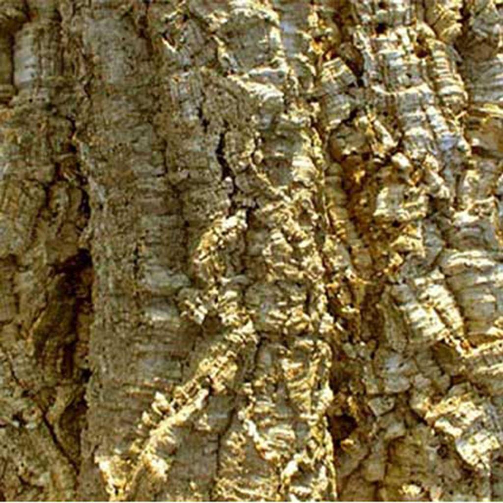 HDCB5 HabiStat Cork Bark